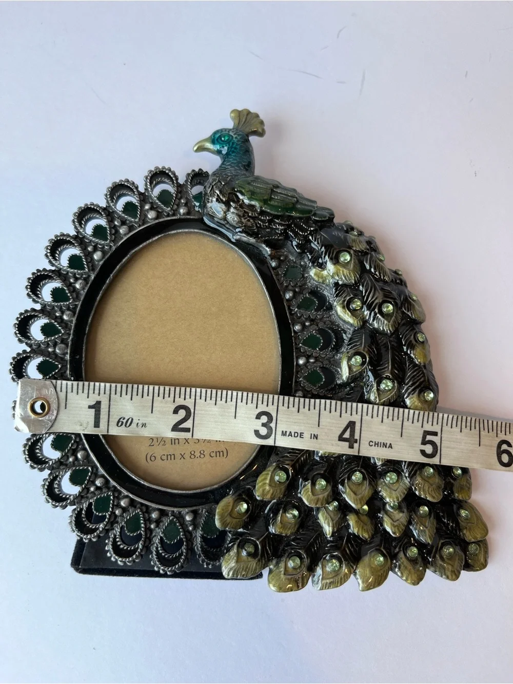 Pier 1 Imports Peacock Enameled Picture Frame